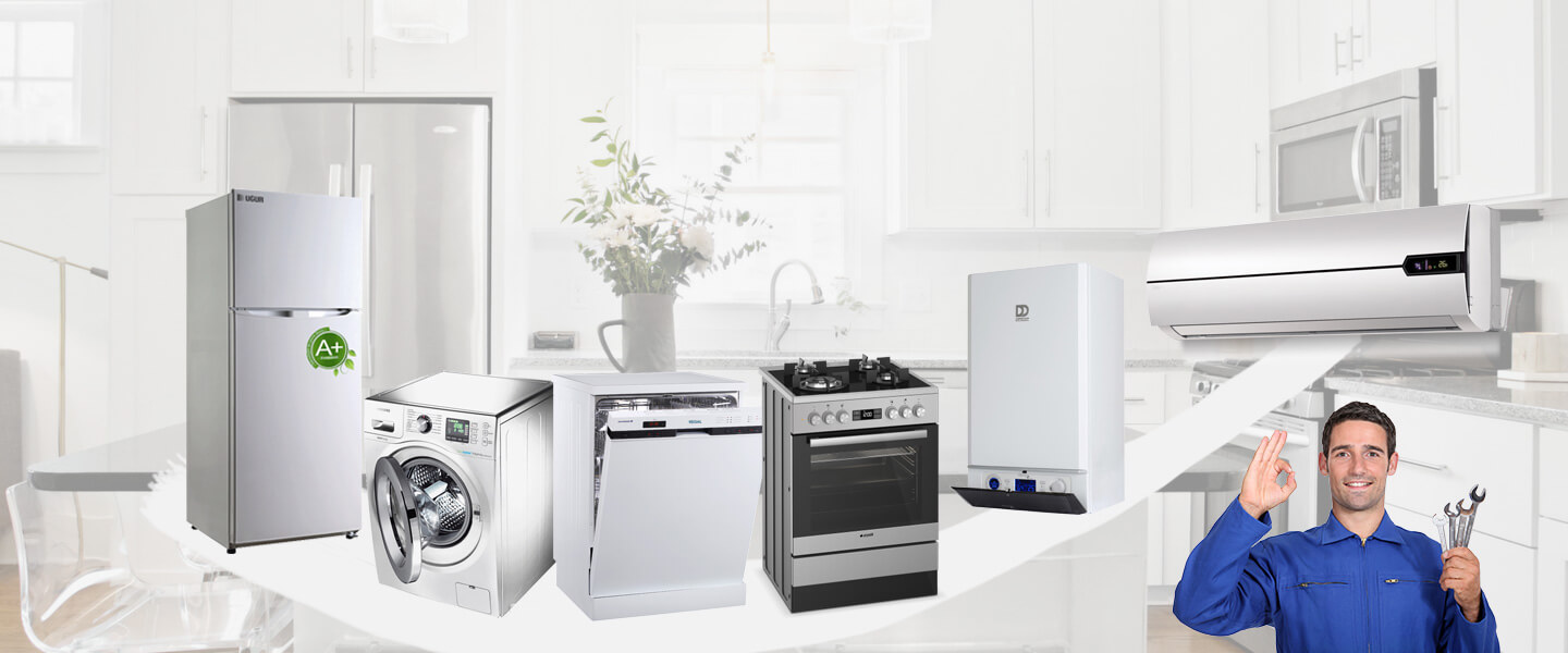 Hendek Philips Servisi